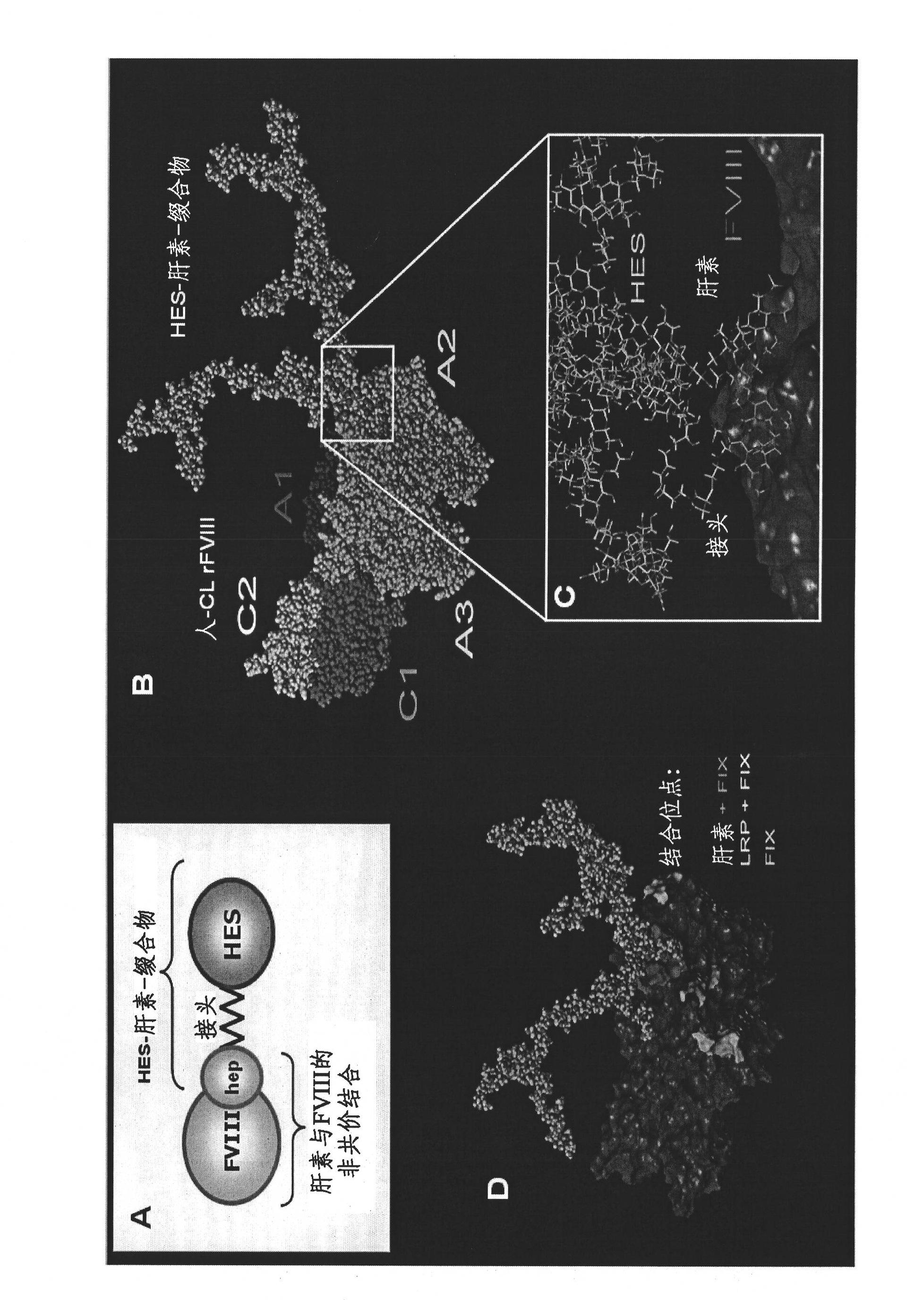 Complex comprising both heparin binding proteins and heparin-hydroxyalkyl starch conjugates