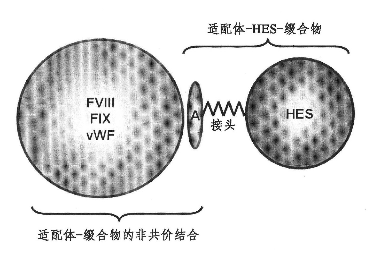 Complex comprising both heparin binding proteins and heparin-hydroxyalkyl starch conjugates