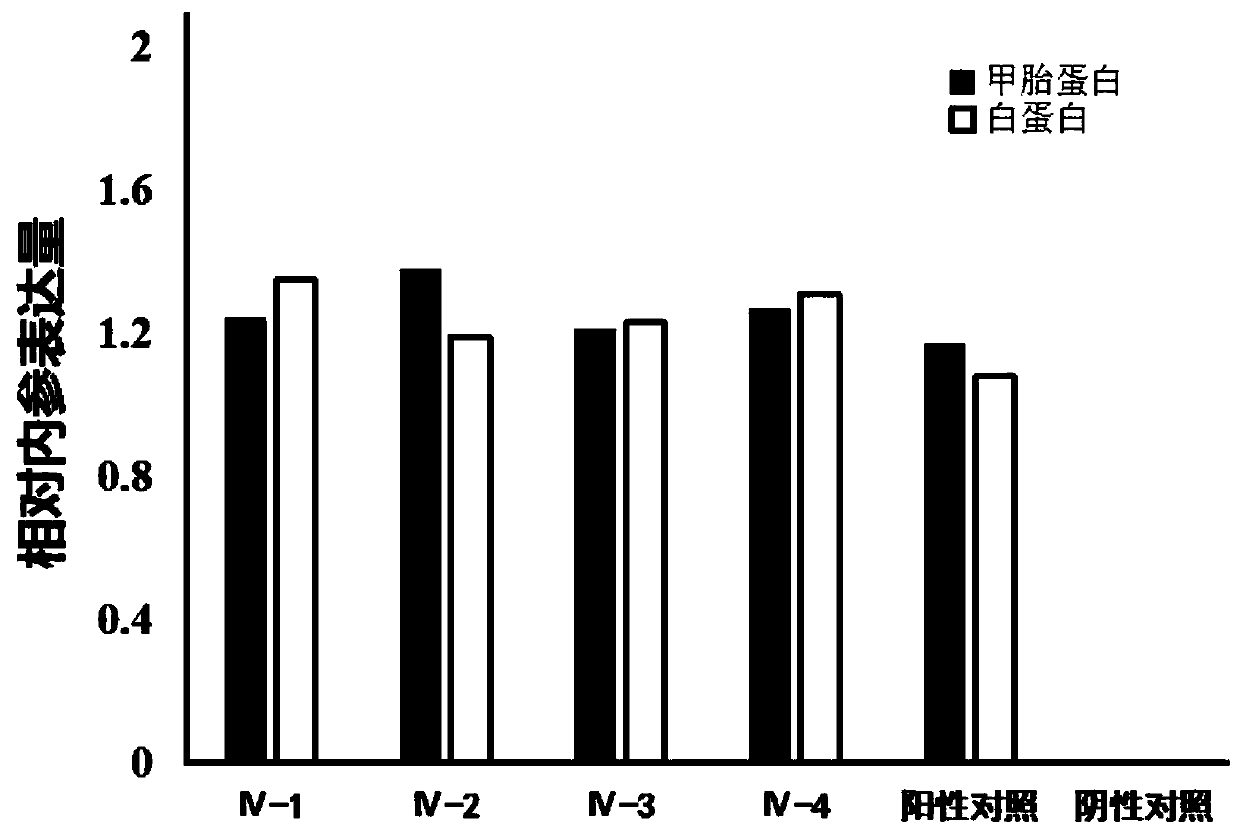 Artificial polypeptides and their biological products for inducing differentiation of bone marrow mesenchymal stem cells into hepatocytes