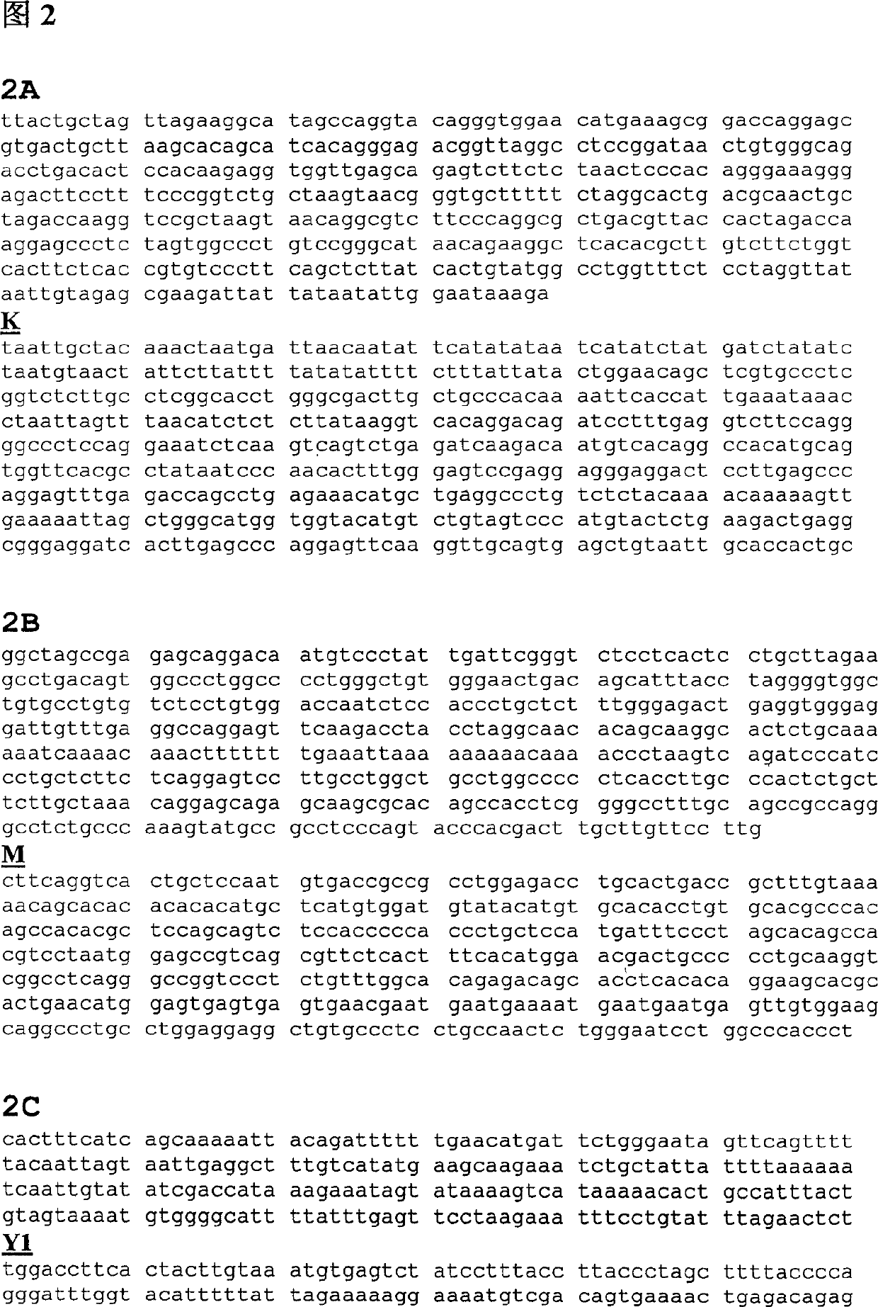 Reagent kit for forecasting susceptibility of intolerance type dementia preaecox and primer used thereby