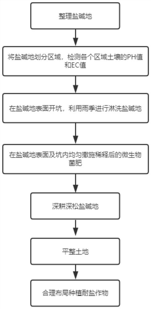 Soil improvement method for restoring saline-alkali soil based on biological method