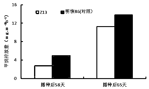 Creation method of low-methane-emission paddy rice variety