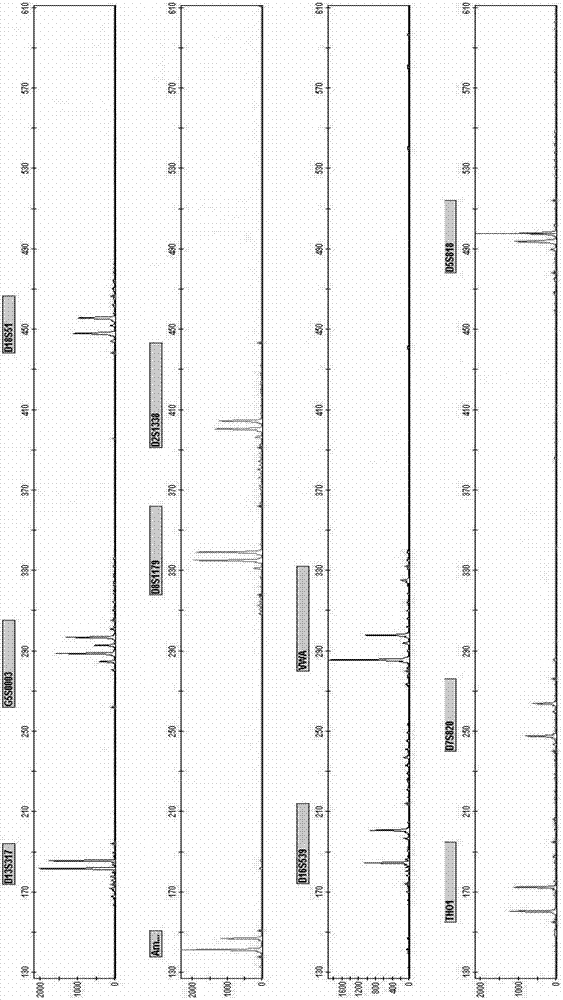 New Short Nucleotide Tandem Repeat Sequence Site and Its Application