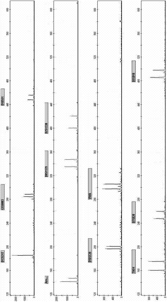 New Short Nucleotide Tandem Repeat Sequence Site and Its Application