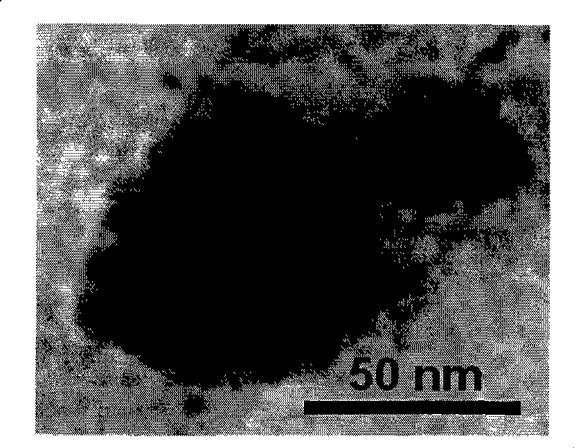 Preparation method of liposome embedded quantum dots silicon dioxide microspheres and products thereof