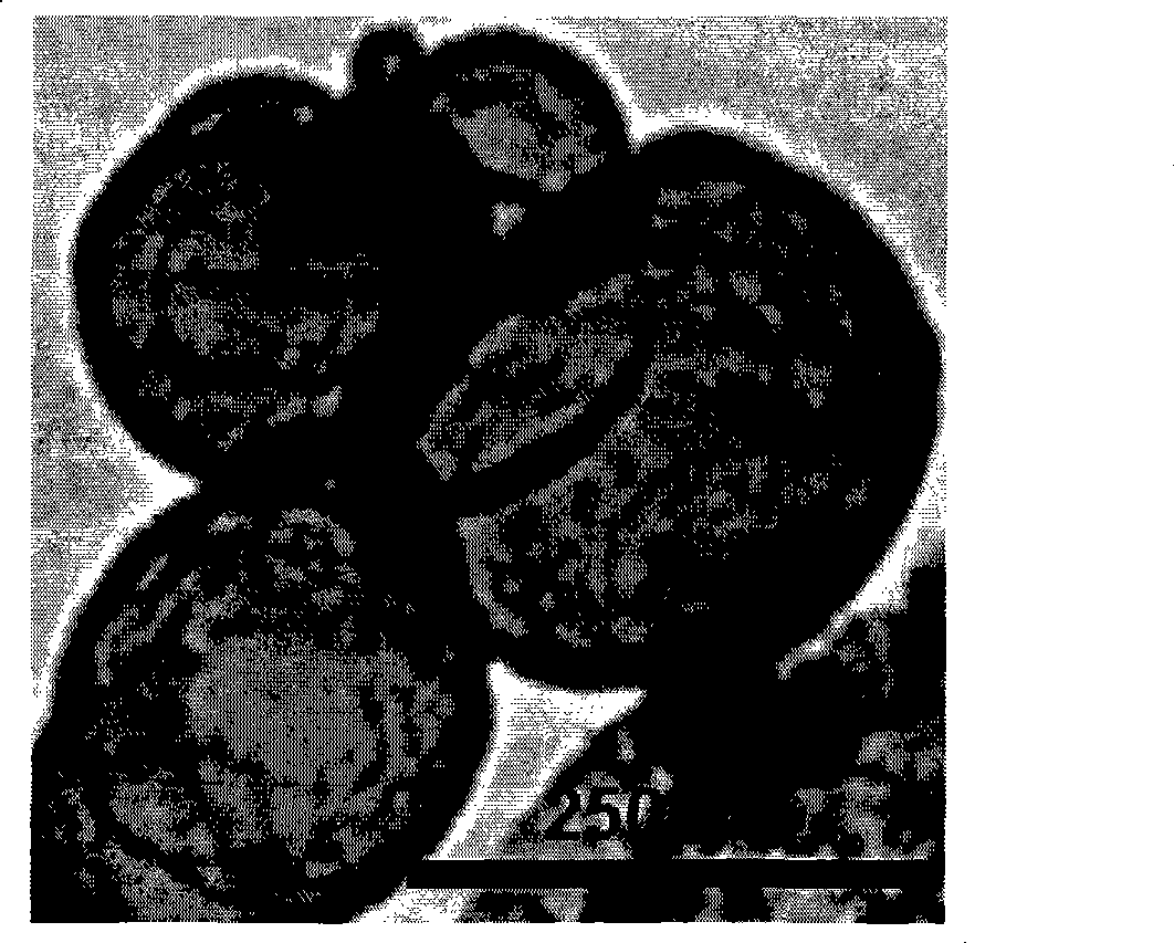 Preparation method of liposome embedded quantum dots silicon dioxide microspheres and products thereof