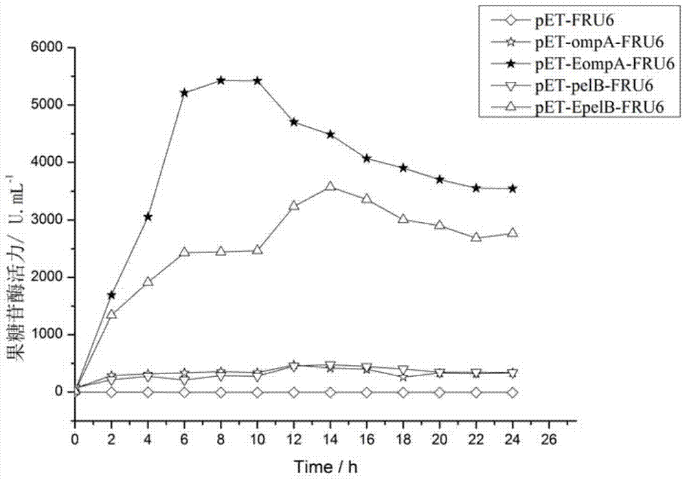 Strong Secretory Signal Peptide Enhancing Small Peptide Motif and Its Application