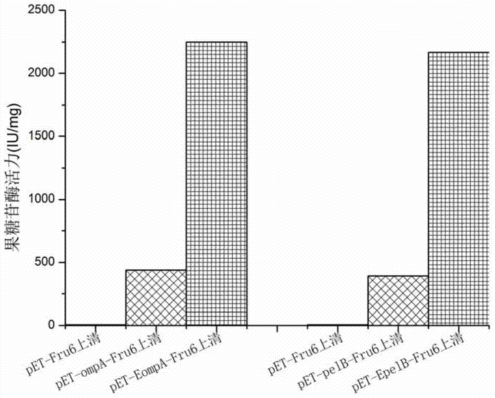 Strong Secretory Signal Peptide Enhancing Small Peptide Motif and Its Application