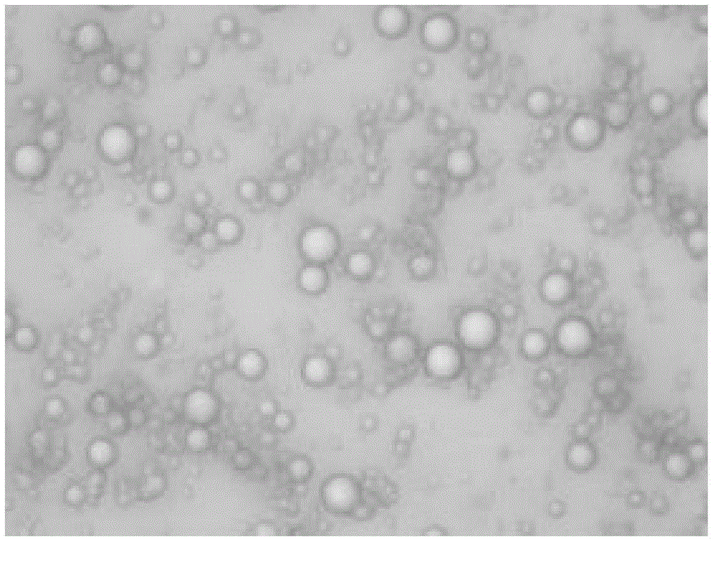 Composite microcapsule wall material, microcapsules and preparation method of microcapsules