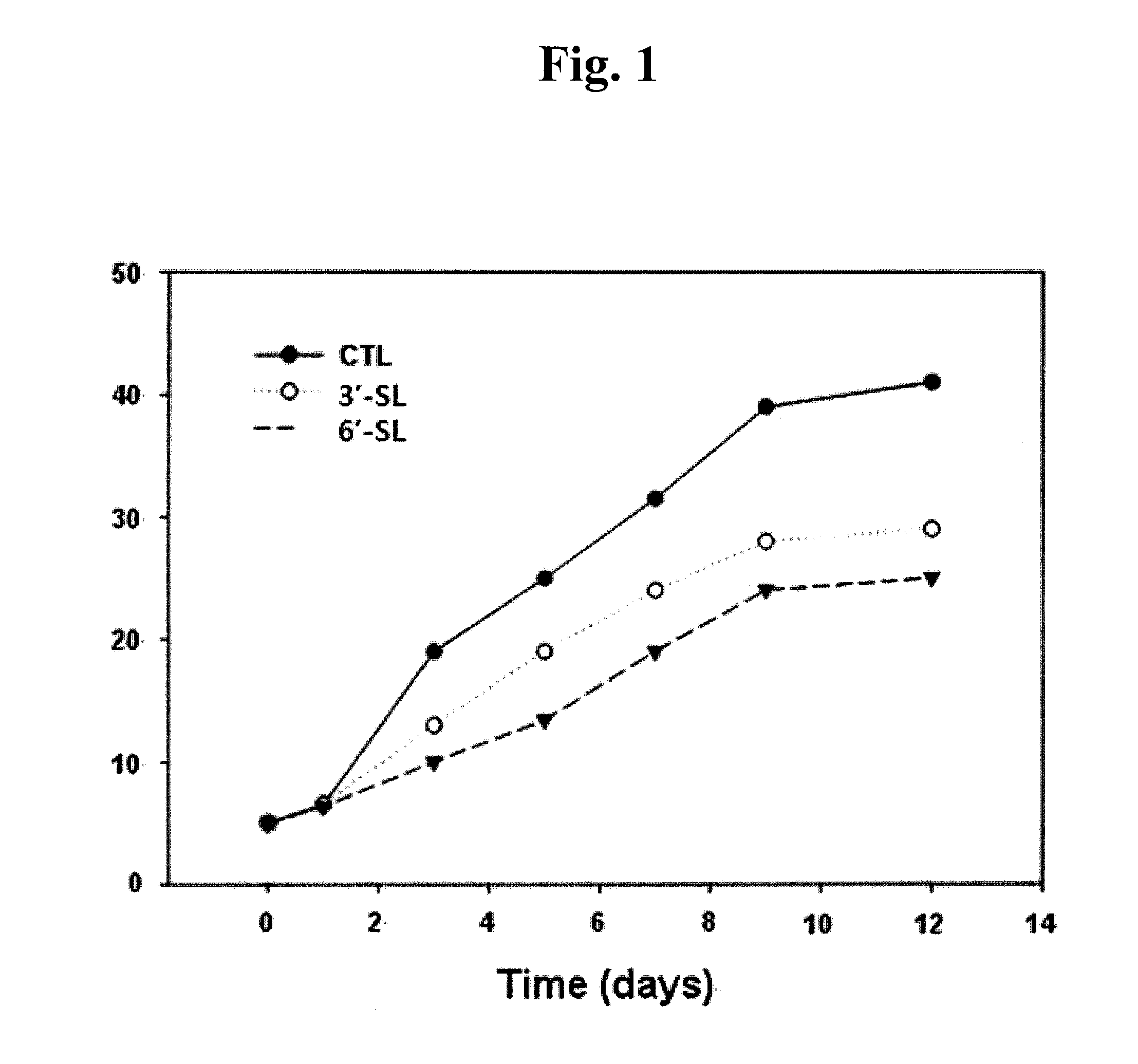 Composition for Prevention or Treatment of Hypertrophic Scars or Keloids