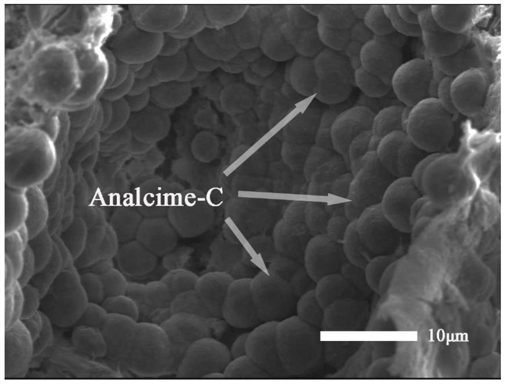 Porous self-supporting zeolite material prepared by acid lithium slag and its preparation method and application