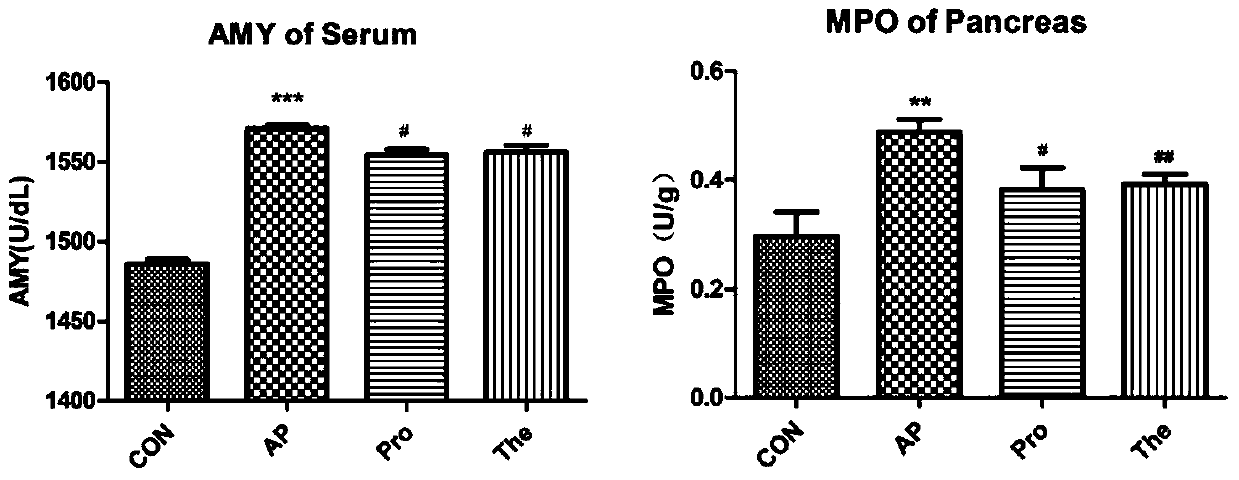 Application of α-lactose in the preparation of medicine for preventing and treating acute pancreatitis