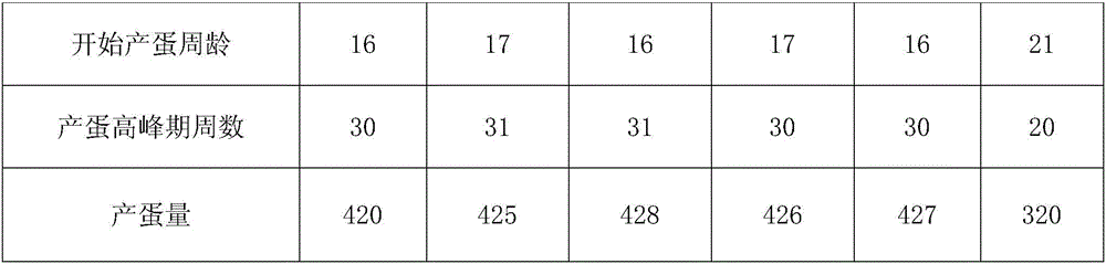 Chicken feeding method for improving egg production of chickens