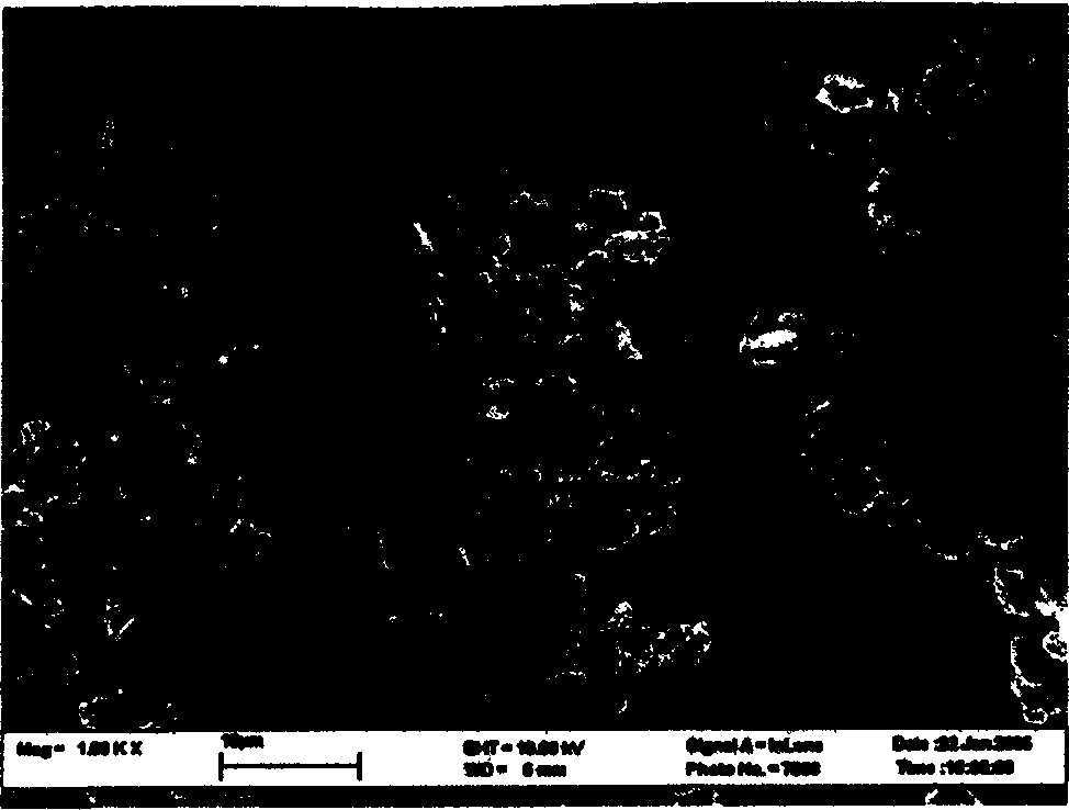 Method for preparing alumina powder with small particle diameter