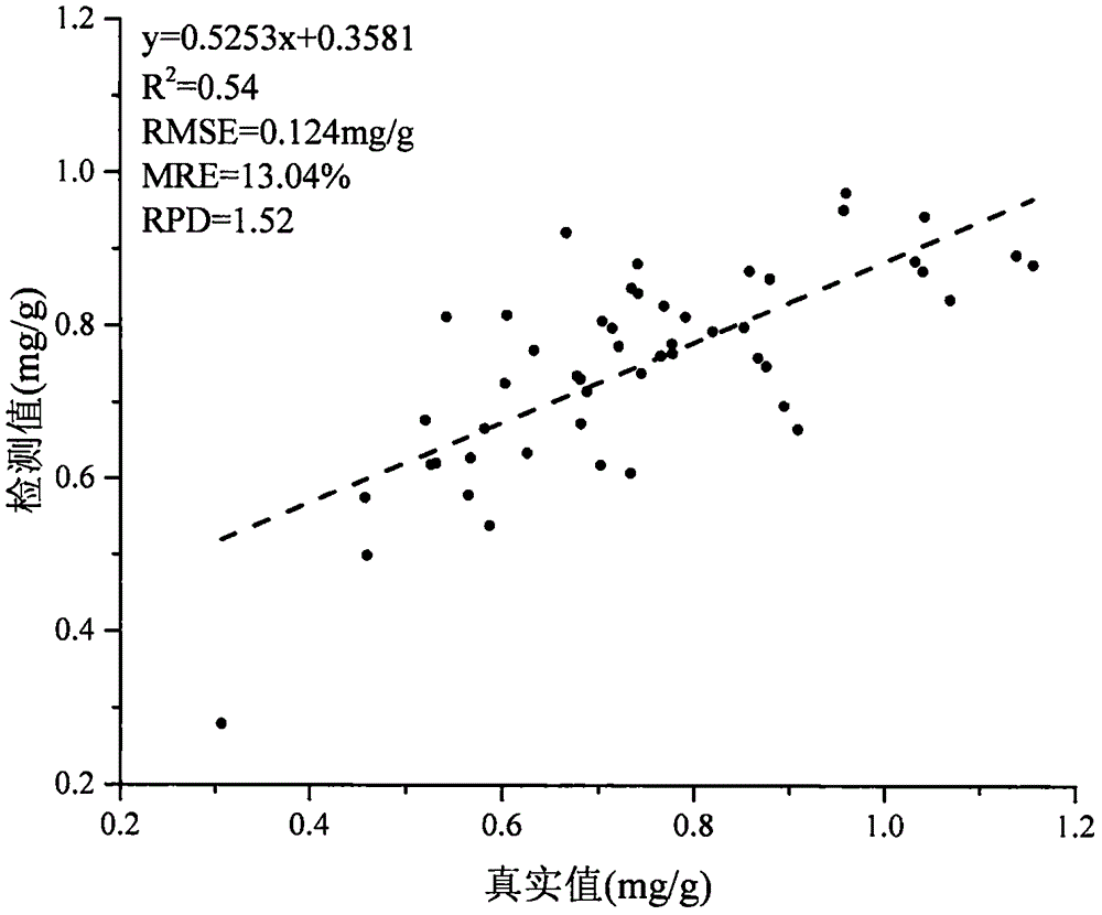 Method for detecting content of chlorophyll b in canopy of jujube tree