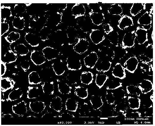 Implant abutment gum-penetrating structure having visible light functionalization function and production method thereof