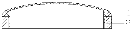 Combined antenna housing