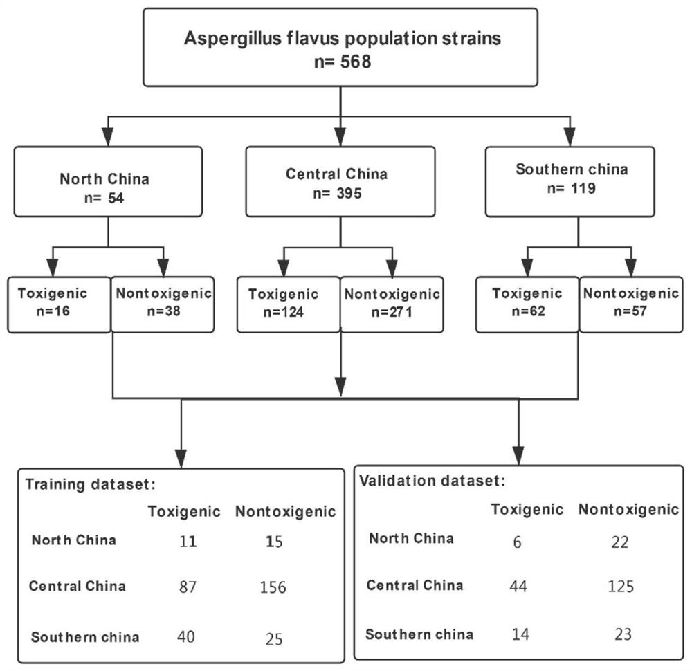 Early warning method before aflatoxin pollution