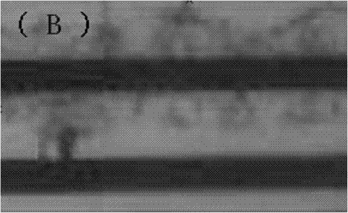 Ultraviolet (UV)-curing plasma display circuit protective agent with silver ion migration resistance and preparation method thereof