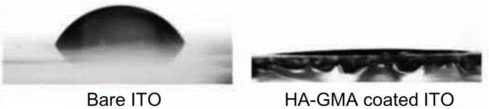 Preparation method of sensor electrode surface anti-biological-pollution coating