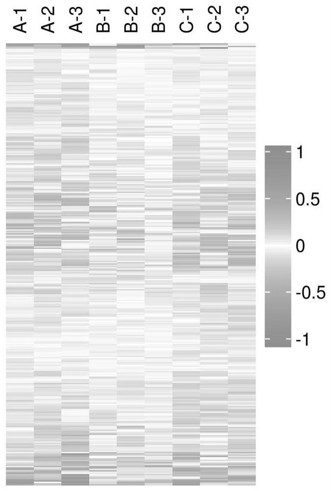 Iron metabolism-related protein marker composition and application thereof for risk prediction of high myopia and auxiliary diagnosis of high myopia