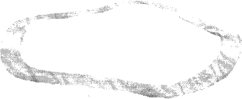 Forming method for high-temperature alloy sine bellows spring