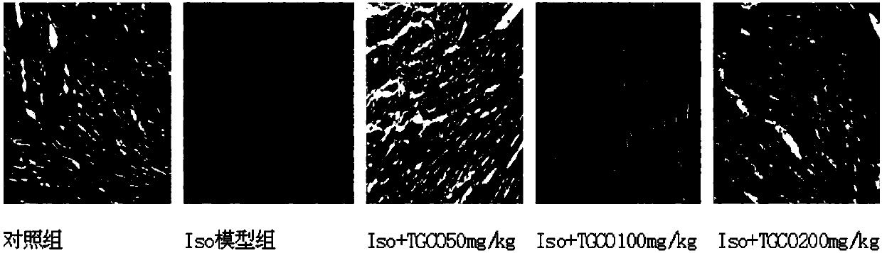 Application of total glycoside from cornus officinalis to preparation of medicine for preventing and curing ventricular remodeling