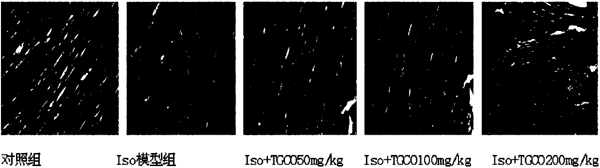 Application of total glycoside from cornus officinalis to preparation of medicine for preventing and curing ventricular remodeling