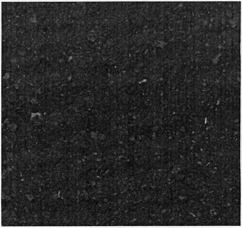 Biochar livestock and poultry feed additive as well as production method and using method thereof