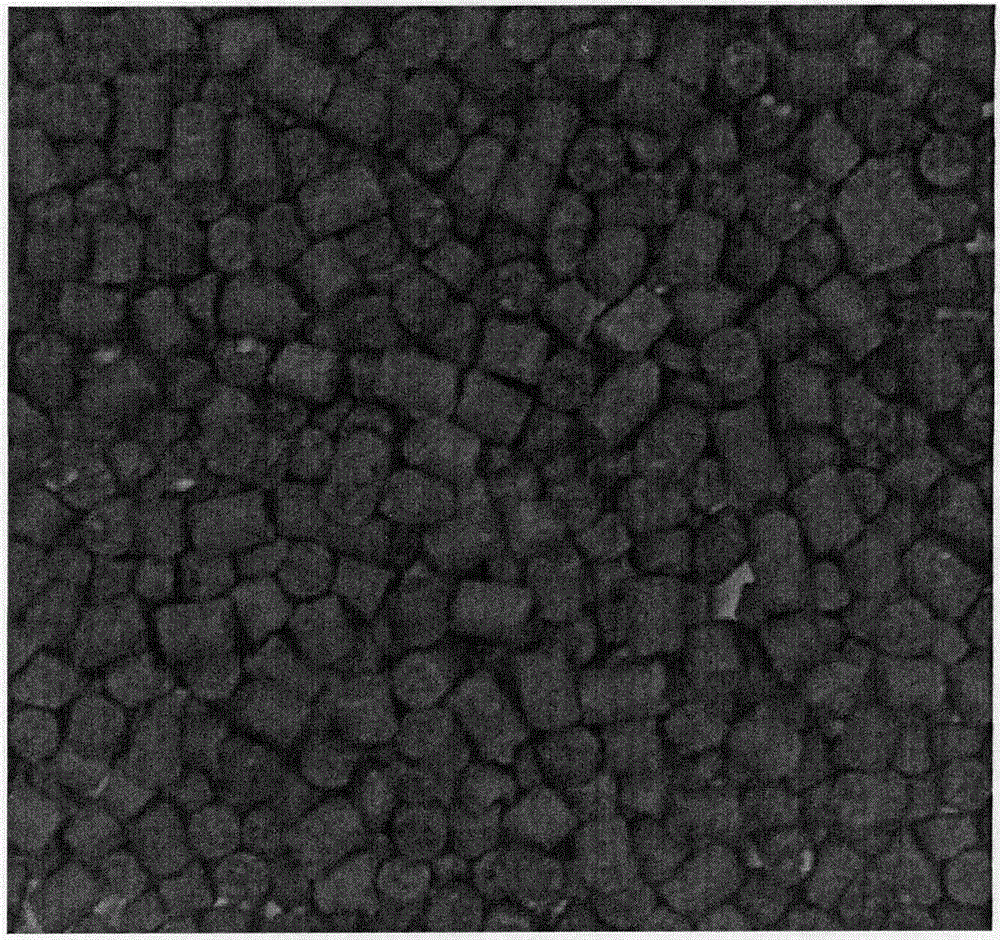 Biochar livestock and poultry feed additive as well as production method and using method thereof