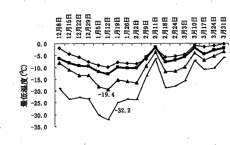 Method for the overwintering of double-layer overlapping type fruit tree