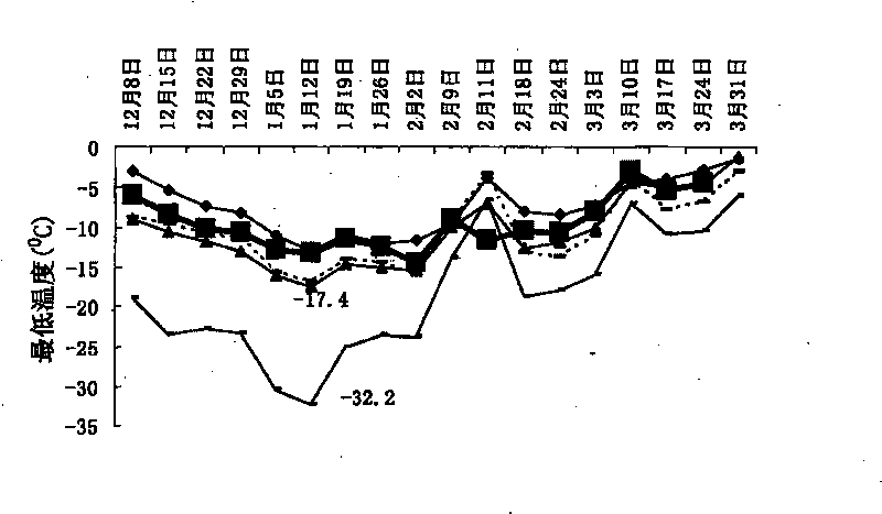 Method for the overwintering of double-layer overlapping type fruit tree