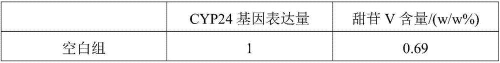 Method for promoting expression of CYP24 gene of momordica grosvenori