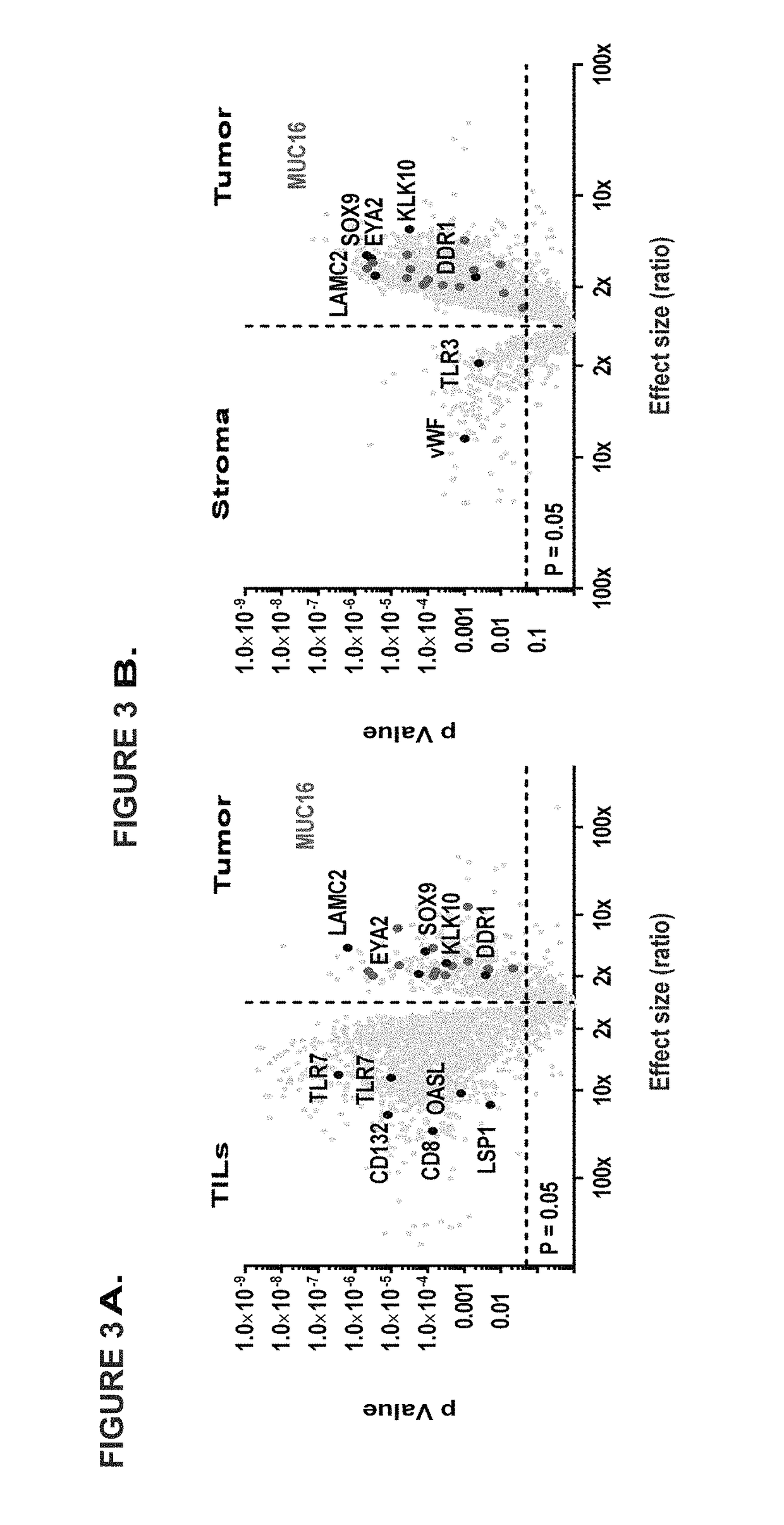 Peptides and combination of peptides for use in immunotherapy against epithelial ovarian cancer and other cancers