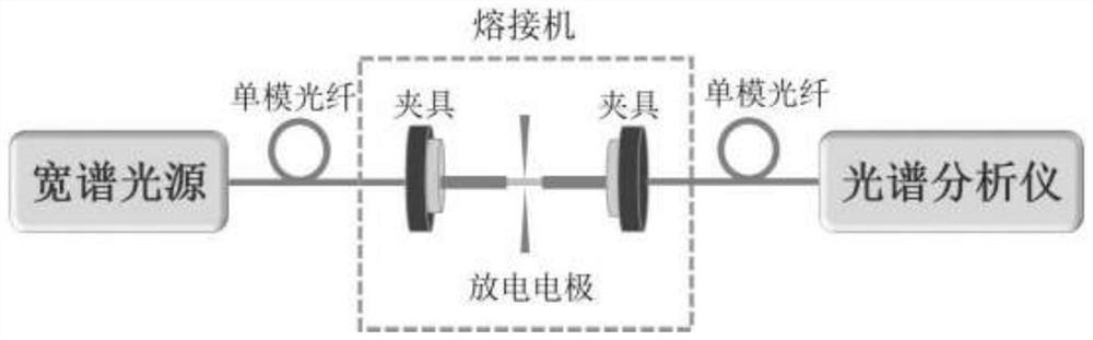 S-shaped optical fiber taper immunosensor, as well as preparation method and application thereof