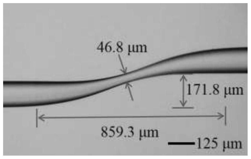 S-shaped optical fiber taper immunosensor, as well as preparation method and application thereof