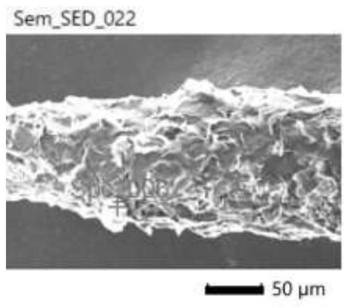 S-shaped optical fiber taper immunosensor, as well as preparation method and application thereof