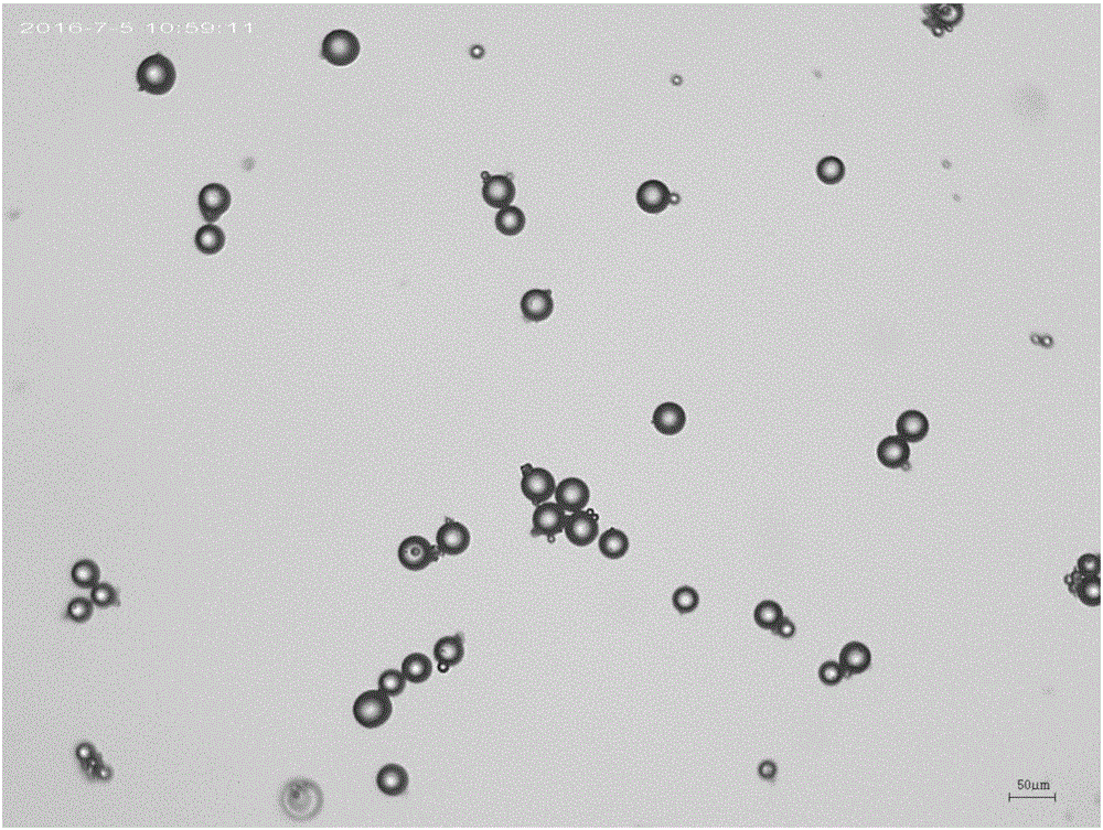 Cross-linked chitosan microspheres, and preparation method and application thereof