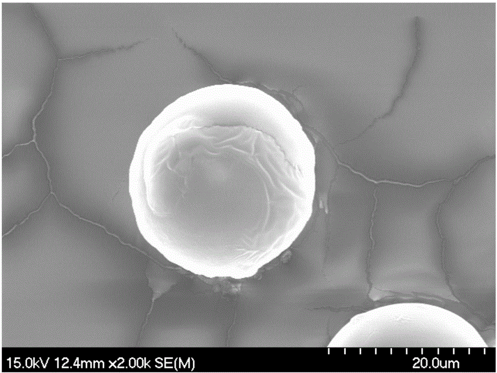 Cross-linked chitosan microspheres, and preparation method and application thereof