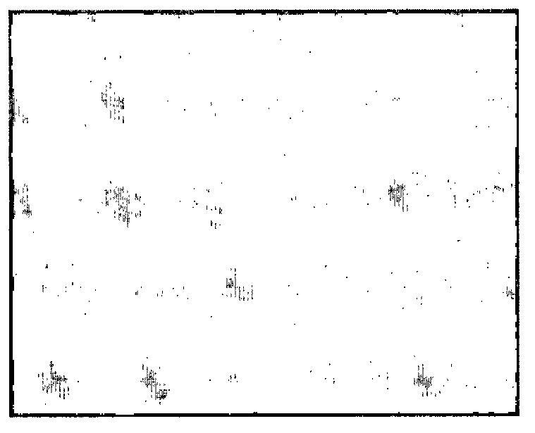 Cleaning solution composition for electronic material