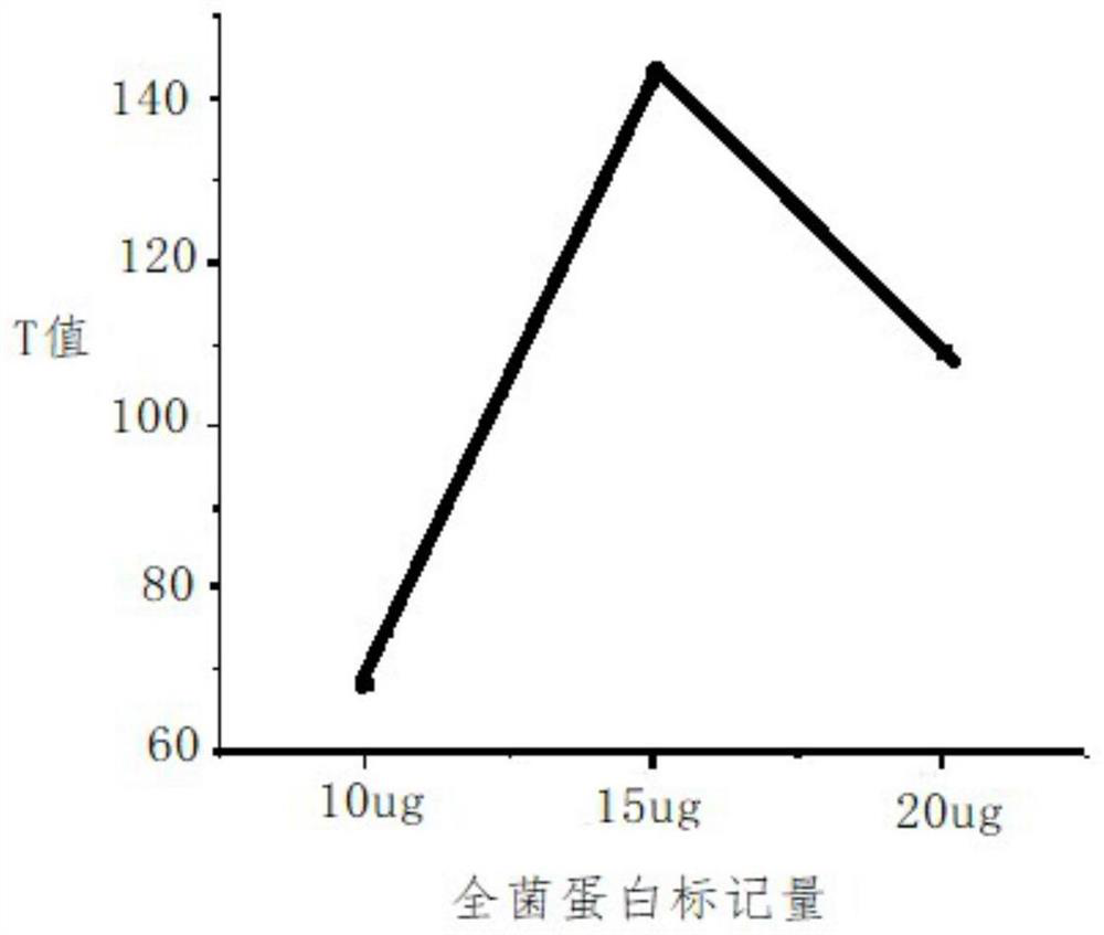 A quantum dot immunochromatographic test strip for rapid detection of Brucella antibodies