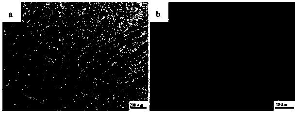 Preparation method of high-speed tool steel