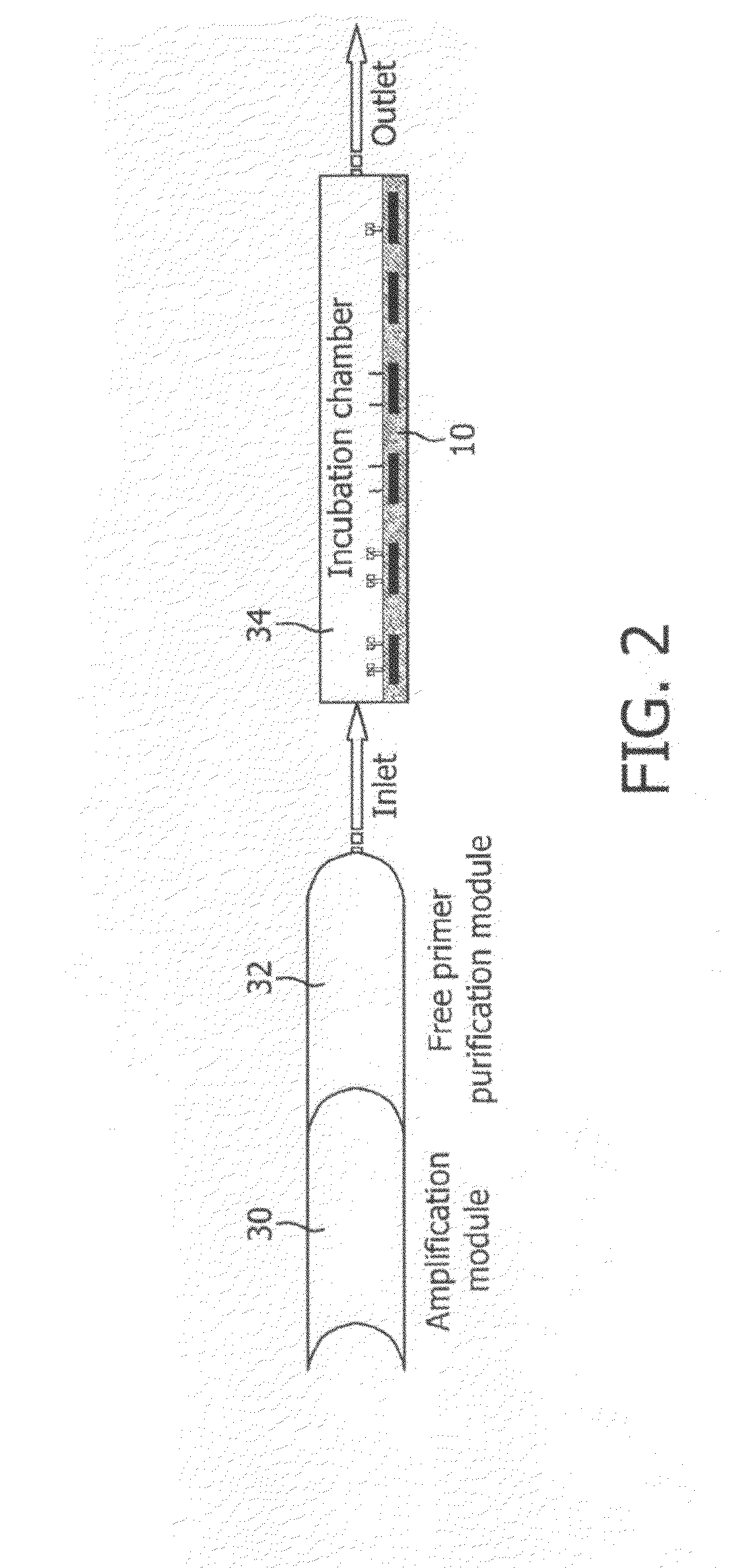 Monitoring of enzymatic processes by using magnetizable or magnetic objects as labels