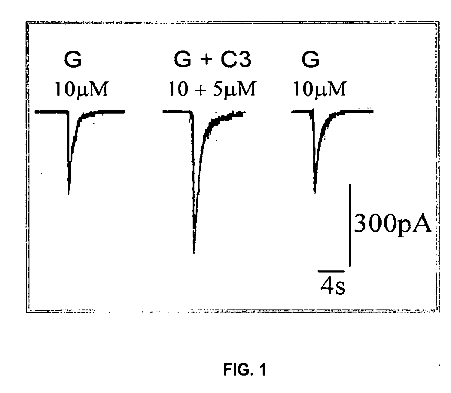 Substituted quinolone carboxylic acids, their derivatives, site of action, and uses thereof