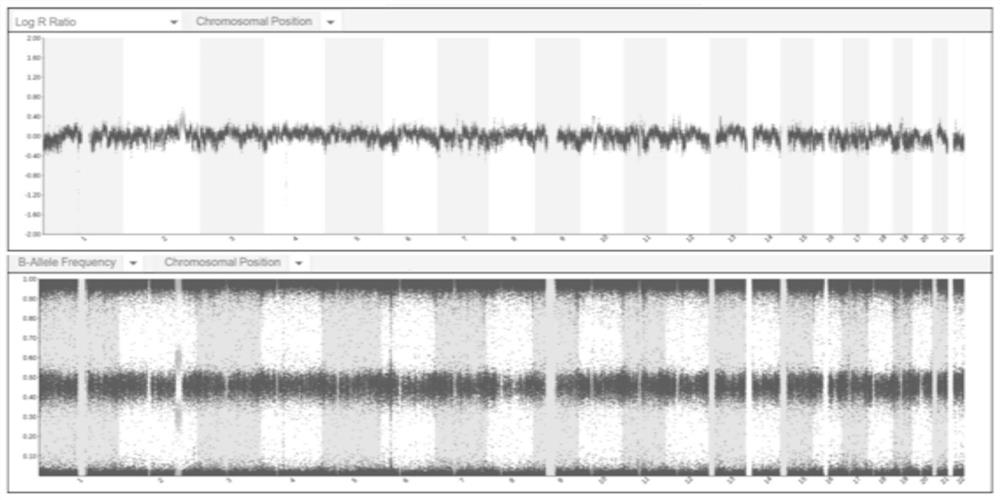 Method for identifying chromosome insertion translocation carried embryo and normal embryo