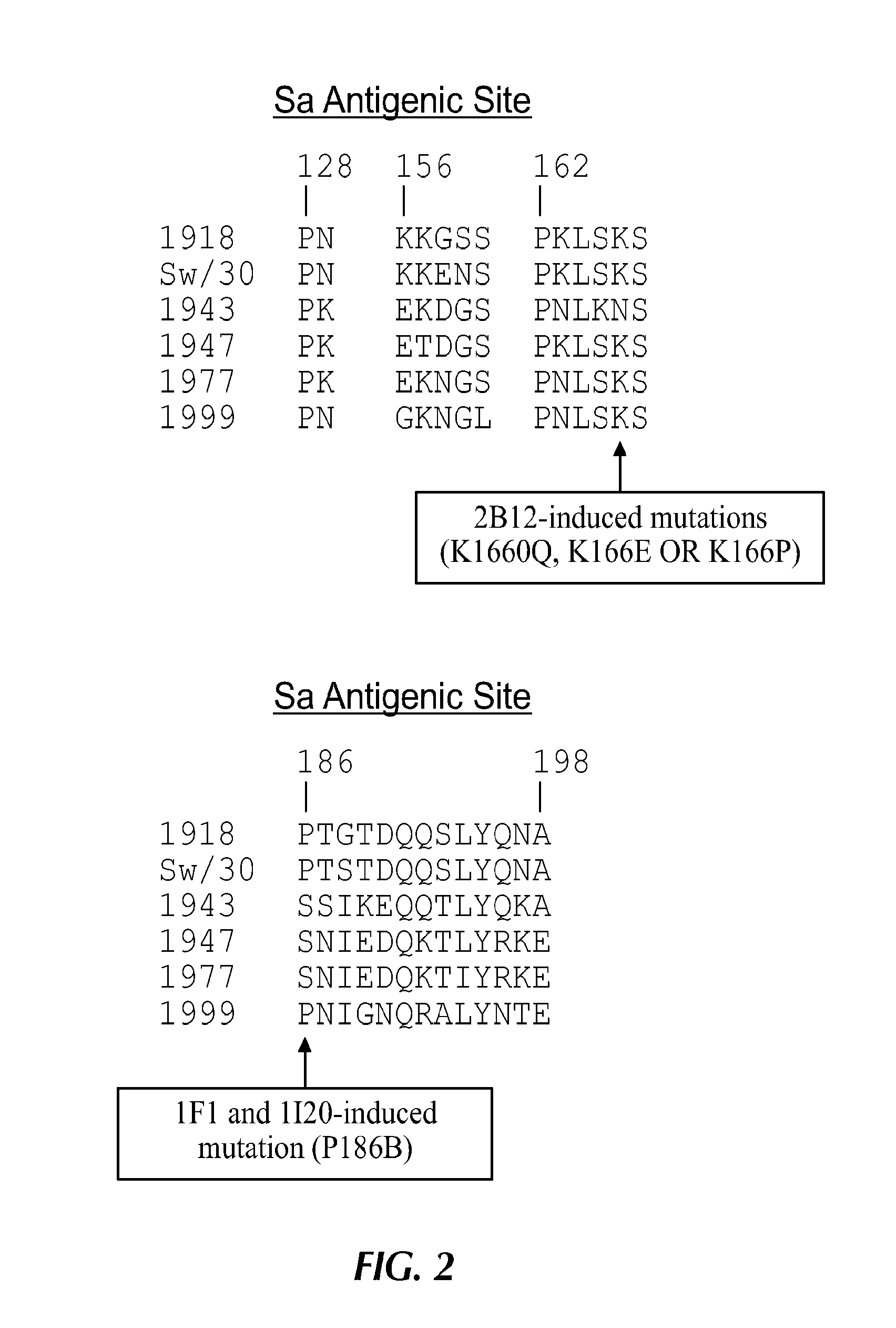 Monoclonal antibodies to influenza h1n1 virus uses thereof