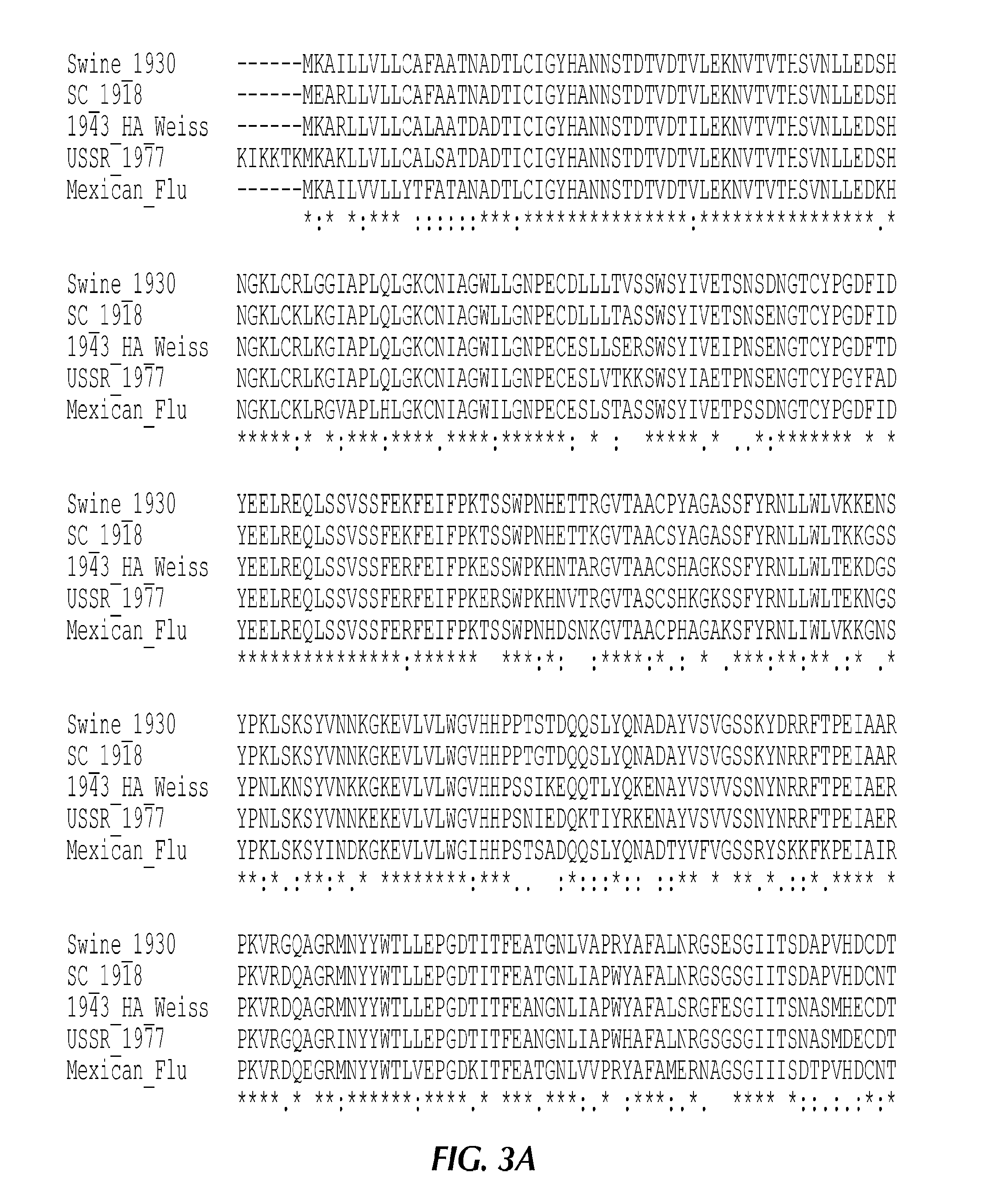 Monoclonal antibodies to influenza h1n1 virus uses thereof