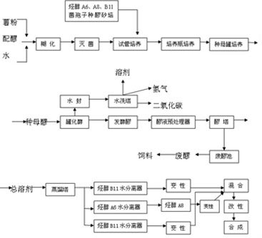 A kind of biogasoline and preparation method thereof