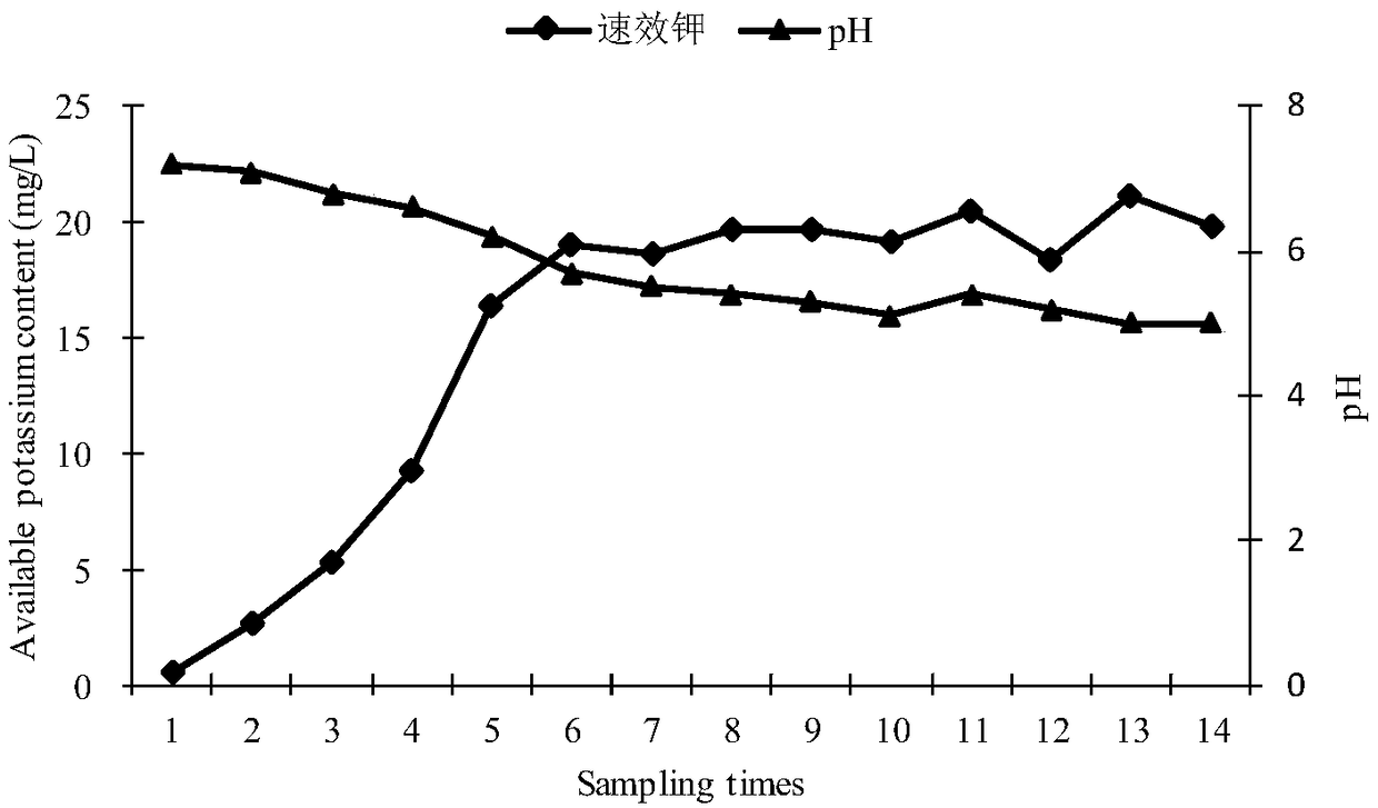 Pseudomonas potassium-solubilizing bacteria and application thereof