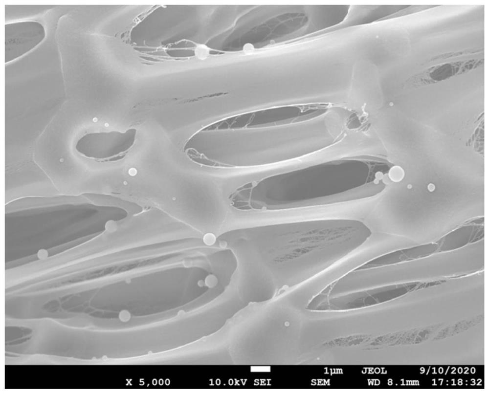 Porous radiation refrigeration film and preparation method thereof